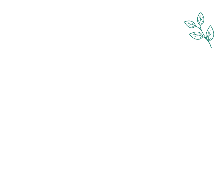 x-solu9.png